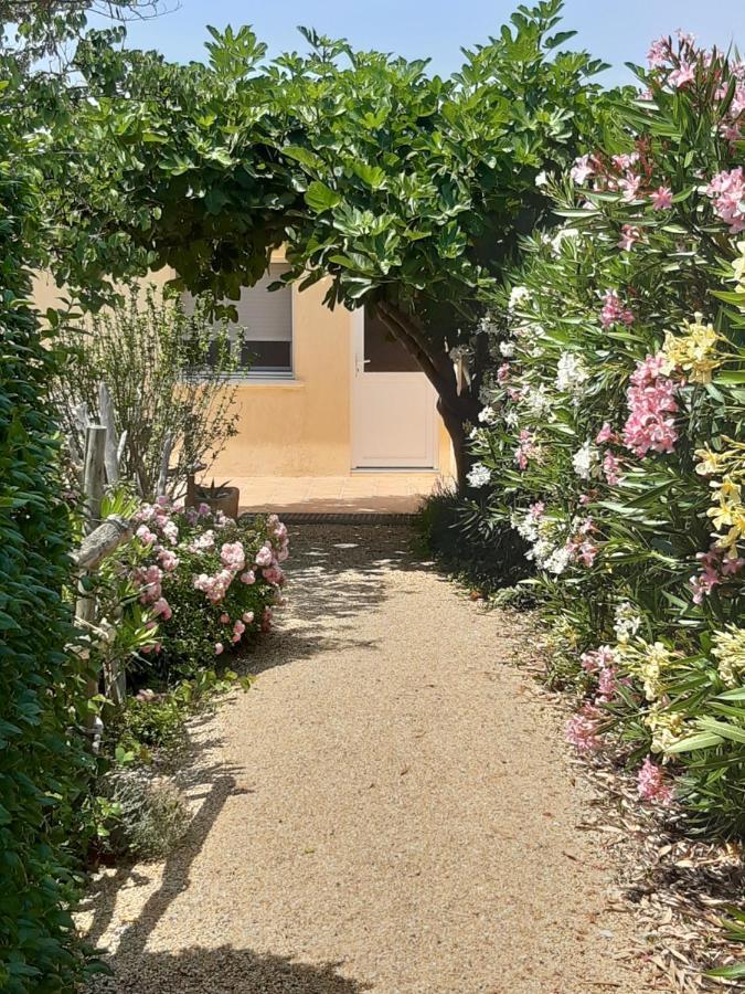 Petite Maison De Campagne Gardoise Théziers 외부 사진